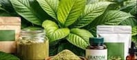 🍬 Best Kratom Vendors for Gummies (Taste-Tested & Lab-Verified Picks)